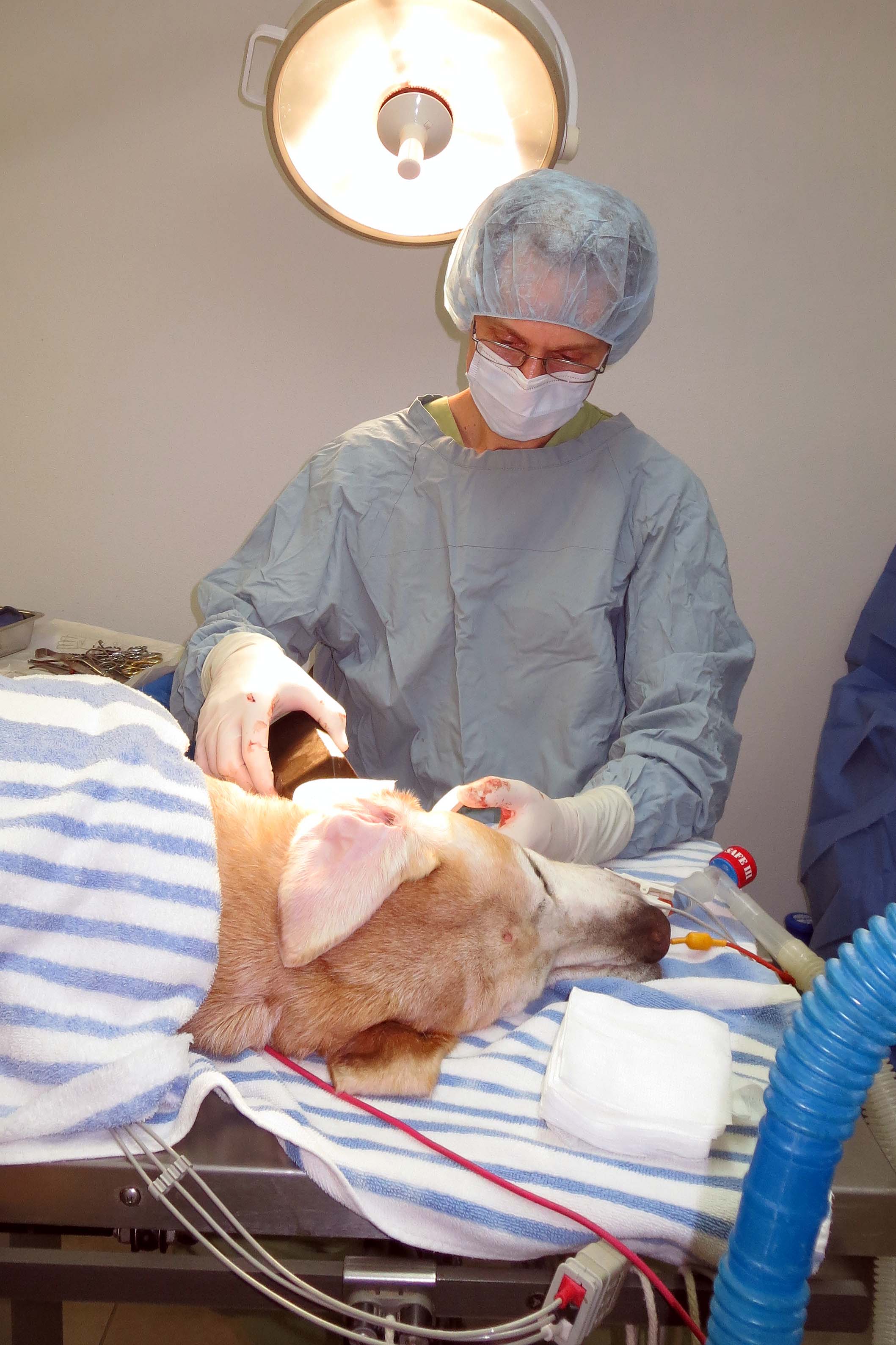 Dr. Phil Zeltzman cleans up a patient after surgery