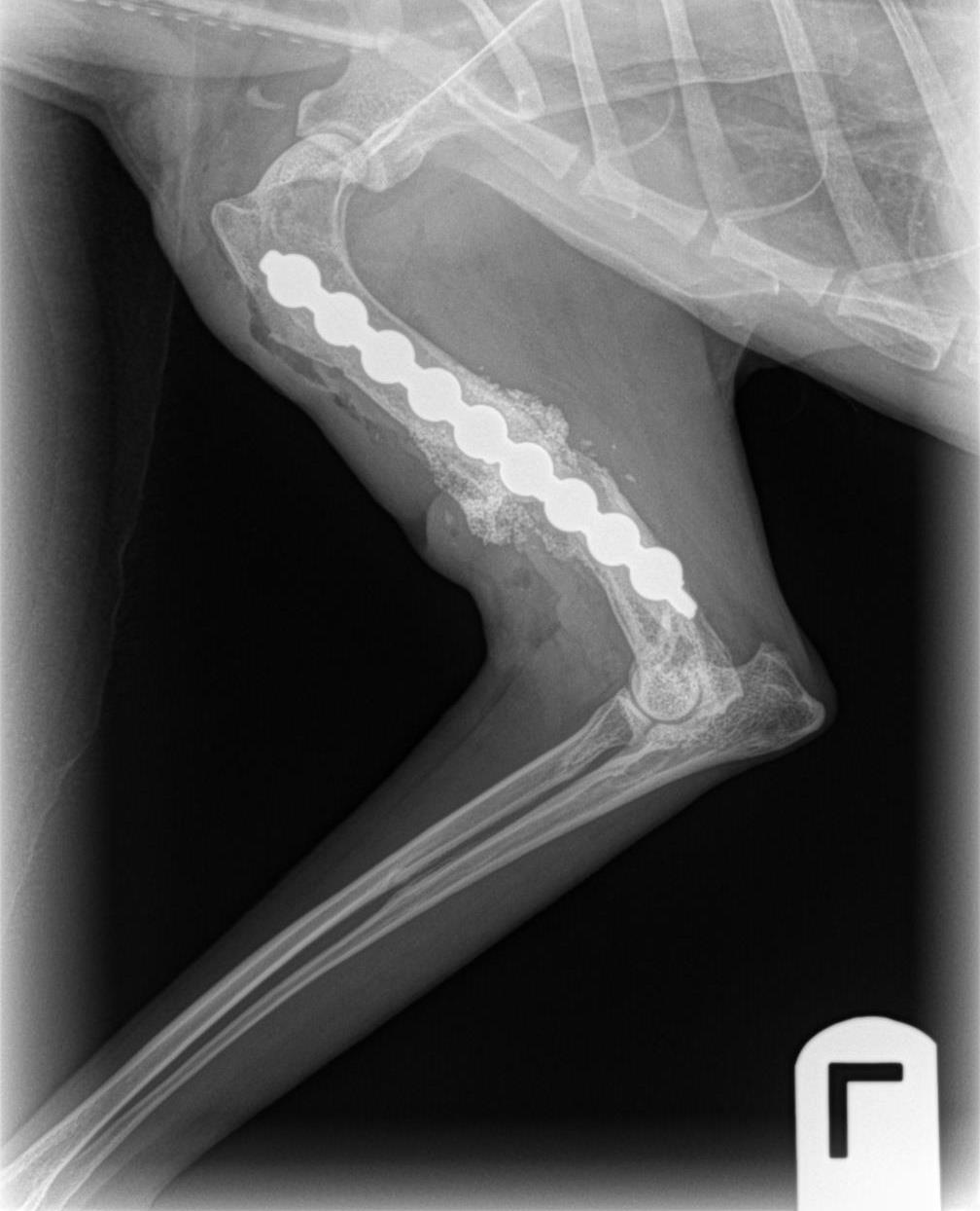 A metal plate and 9 screws