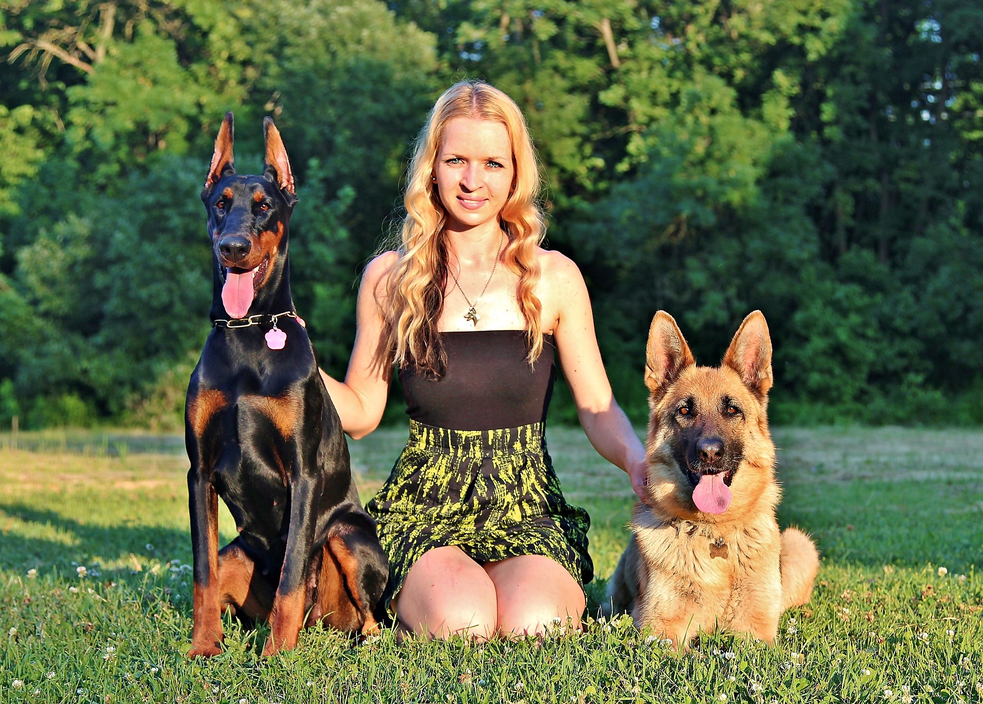 A woman with her doberman and german shepherd