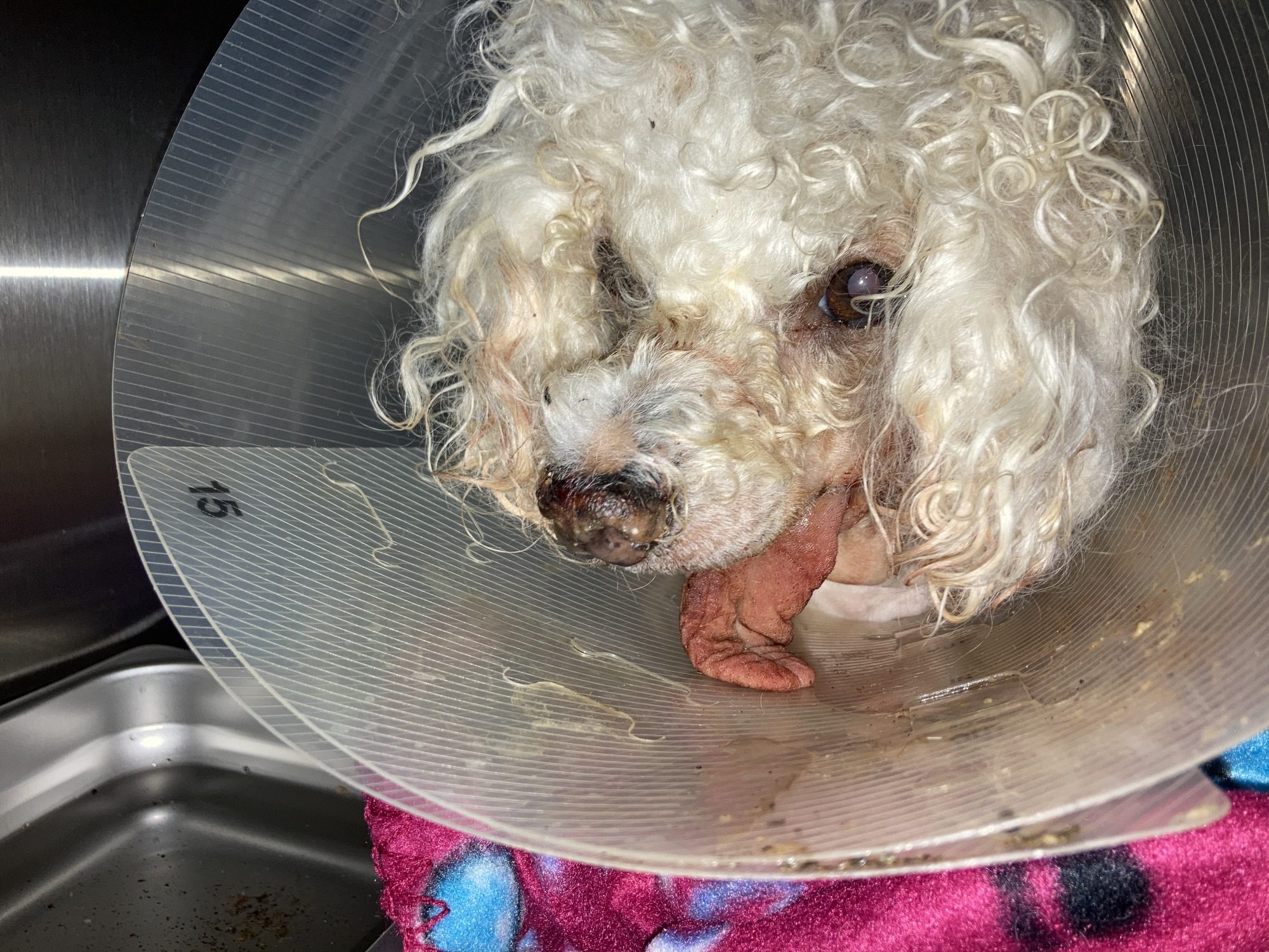 Mimi post operative