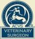 veterinarian surgeon